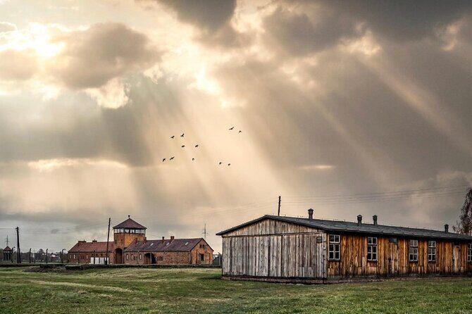 Auschwitz and Birkenau WITHOUT GUIDE private transport from Kraków - Key points to know