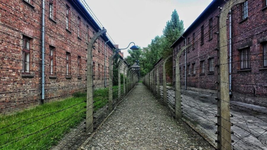 Auschwitz-Birkenau and Krakow Private Car Trip from Katowice - A 30-Person Group Tour That Still Feels Understandable