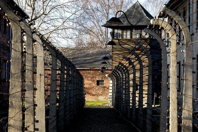 Auschwitz Birkenau and Salt Mine Full Day Guided Tour from Krakow hotel pick up - Why this one-day Auschwitz + Salt Mine combo works