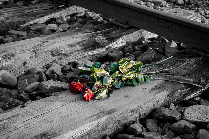 Auschwitz Birkenau and Salt Mine Full Day Guided Tour from Krakow hotel pick up - Wieliczka Salt Mine: ticket included, and a different kind of wow