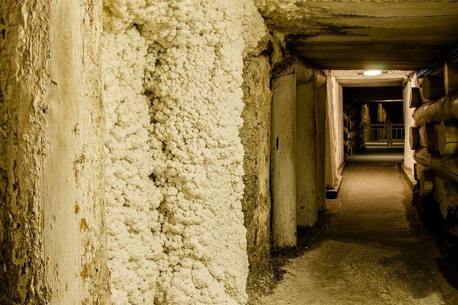 Auschwitz-Birkenau and Wieliczka Salt Mine Day Tour from Krakow with private car - Auschwitz-Birkenau: how the English-guided visit is run