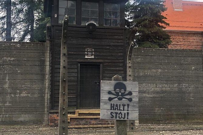 Auschwitz-Birkenau and Wieliczka Salt Mine Museum Guided Tour from Krakow - Price and value: what $111.26 buys you