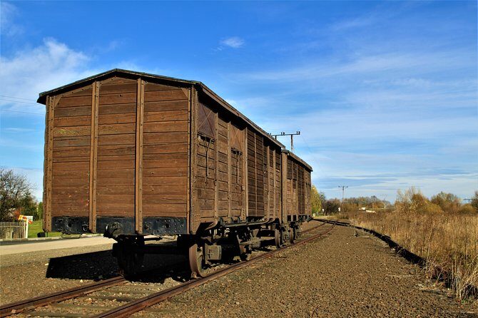 Auschwitz & Birkenau English guided tour by private transport from Katowice - Birkenau Memorial in About 1 Hour: Different Pace, Same Weight