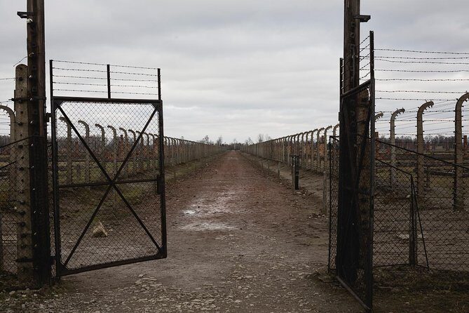 Auschwitz Birkenau Guided Tour - Timing, Walking, and the Rushed-Feeling Risk