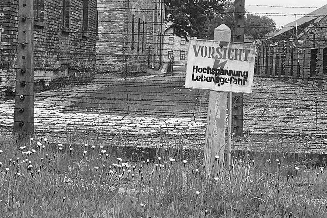 Auschwitz-Birkenau guided tour from Krakow - private car - Auschwitz II-Birkenau: what changes when you reach the larger camp