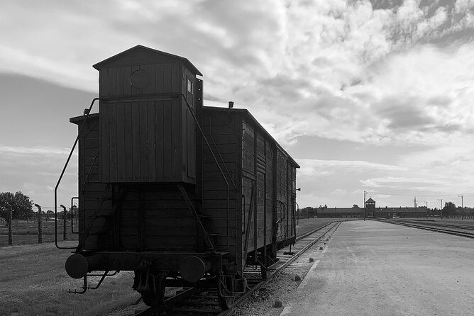Auschwitz-Birkenau guided tour from Krakow - private car - Who this Auschwitz-Birkenau tour fits best