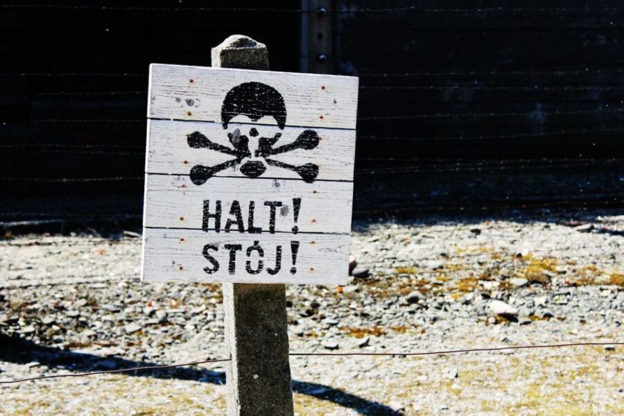 Auschwitz-Birkenau Guided Tour & Transfer from Krakow - Price and Value at Around $34: What You’re Paying For