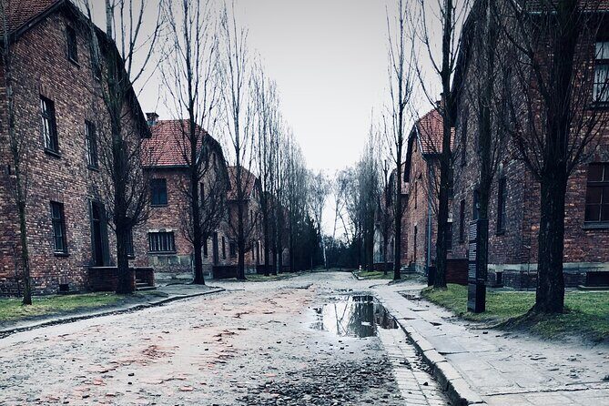 Auschwitz-Birkenau Guided Tour with Private Transport from Krakow - Key things I’d watch for