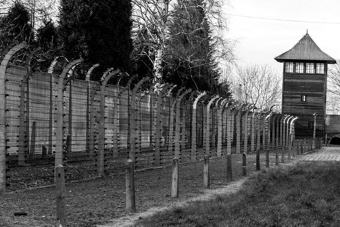 Auschwitz Birkenau Guided Tour with Ticket Hotel Pickup Small Van - Skip-the-line tickets and the official museum format