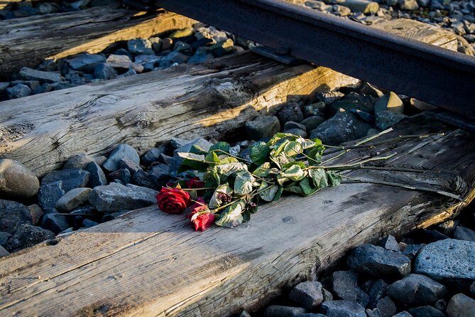 Auschwitz Birkenau Guided Tour with Ticket Hotel Pickup Small Van - What the driver does beyond driving