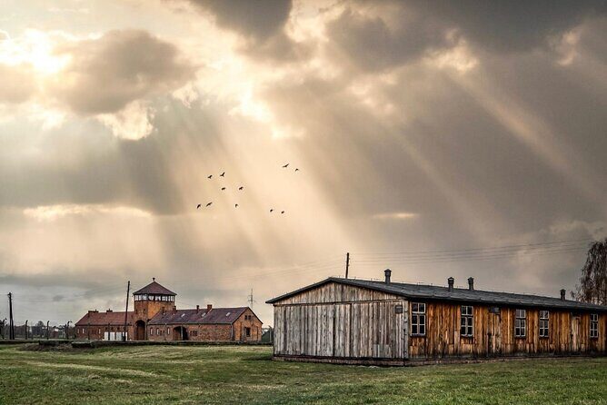 Auschwitz-Birkenau Memorial and Museum Guided Tour - Private Transport - Birkenau (Brzezinka): seeing scale without feeling lost