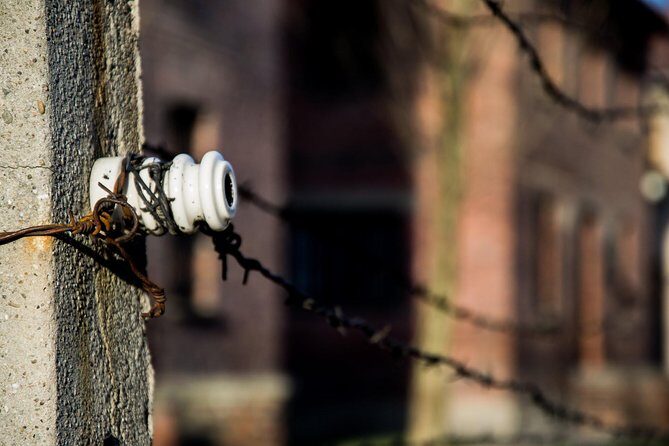 Auschwitz-Birkenau Memorial and Museum with Private Transfers from Krakow - Transfers back to Krakow: when the day ends