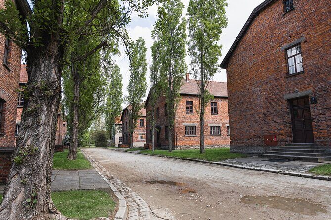 Auschwitz-Birkenau Memorial Entrance Ticket and Guided Tour - Krakow pickup, air-conditioned transport, and group size you can handle