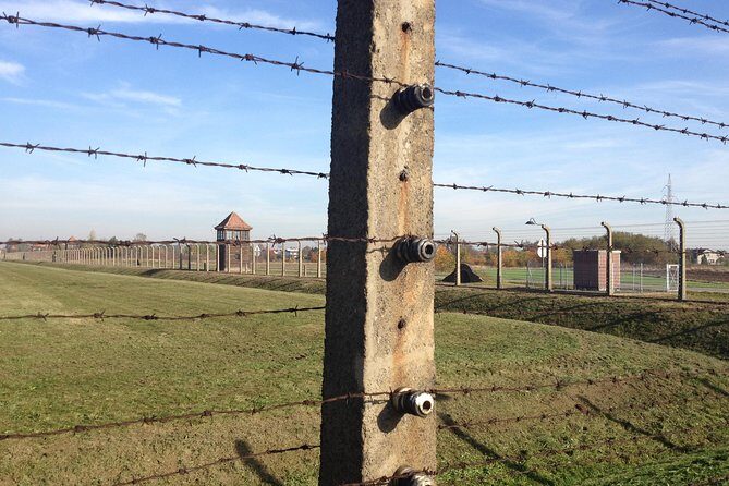 Auschwitz-Birkenau Museum and Memorial Guided Tour from Krakow - How the Headsets and Guide Style Make or Break the Day