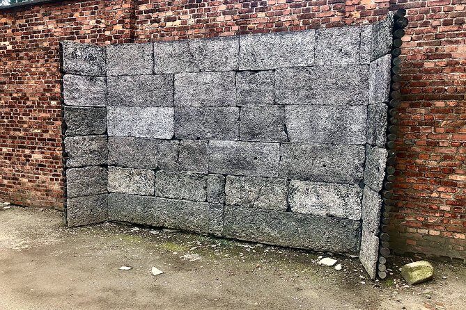 Auschwitz Birkenau Museum and Salt Mine All Inclusive DAY TRIP with Local Guides - Who should book this trip, and who might want a different plan