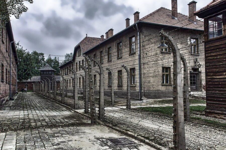 Auschwitz-Birkenau: Museum Entry Ticket with Guided Tour - Who this Auschwitz-Birkenau tour suits best (and who might want another option)