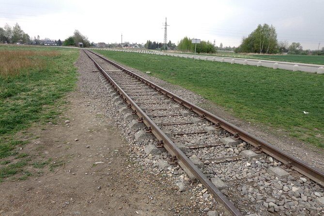 Auschwitz-Birkenau Museum Half-Day Bus Tour from Krakow - Time on your feet: weather, bags, and what to expect