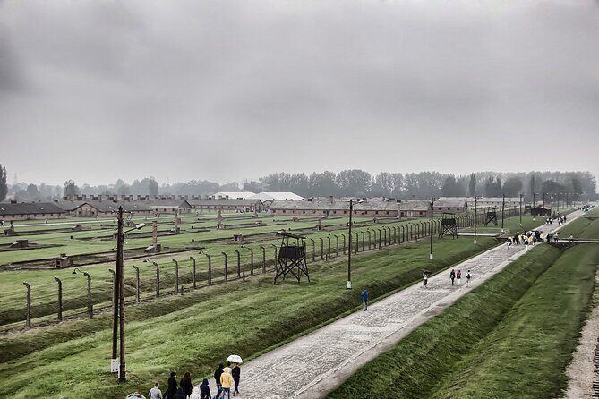Auschwitz - Birkenau Private, 6-hr Study Tour - What the educator adds: names, details, and hard context