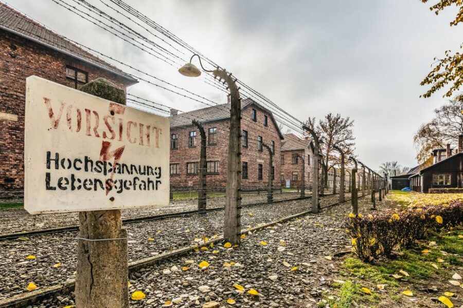 Auschwitz-Birkenau: Skip-the-Line Entry Ticket & Guided Tour - Getting Started: meet the guide, clear security, and walk in fast