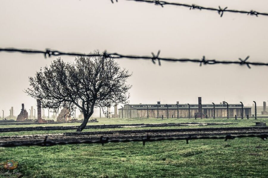Auschwitz-Birkenau: Skip-the-Line Entry Ticket & Guided Tour - The 15-minute break and the transfer to Birkenau