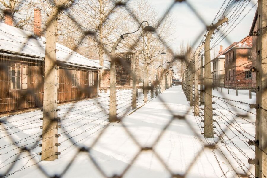 Auschwitz-Birkenau: Skip-the-Line Ticket and Guided Tour - What to Bring: ID, Clothing Rules, and That 10-Minute Lunch Reality