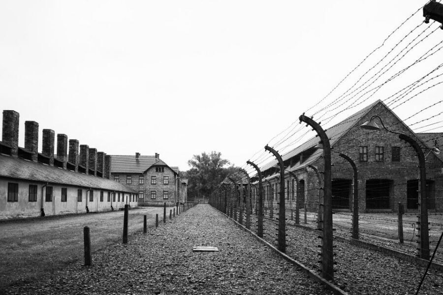 Auschwitz-Birkenau Tour from Katowice with Private Transfers - Food and Timing: How to Stay Human on a 6-Hour Heavy Day