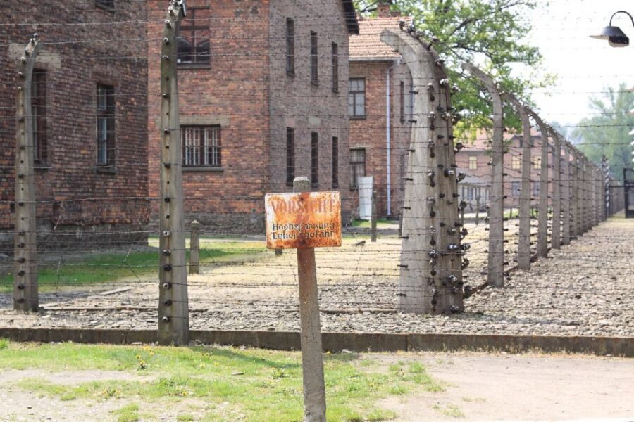 Auschwitz-Birkenau Tour from Katowice with Private Transfers - Price and Value: Is $219 a Good Deal for a Katowice–Auschwitz Day?