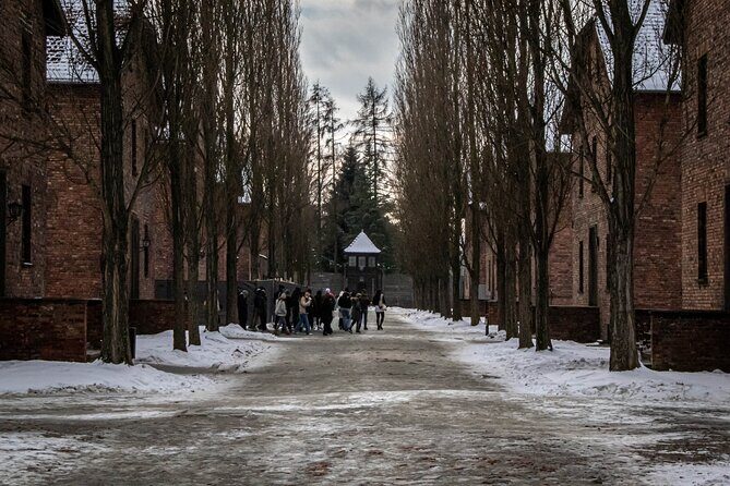 Auschwitz Birkenau Tour from Krakow: Private Transfer + Ticket - The Krakow to Oświęcim transfer: time, comfort, and the mental warm-up