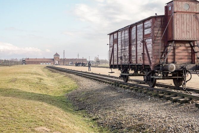 Auschwitz-Birkenau Tour Guide and Jewish museum and synagogue - Lunch, snacks, and coffee: small comforts, big value