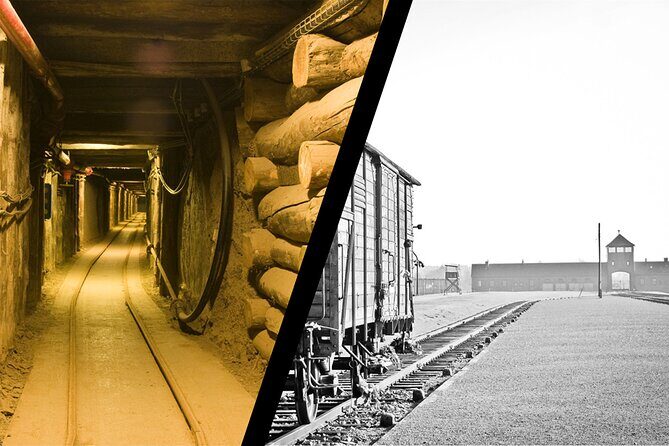 Auschwitz Birkenau Transfer and Guide with Salt Mine Combo Option - Key highlights you’ll feel on the day
