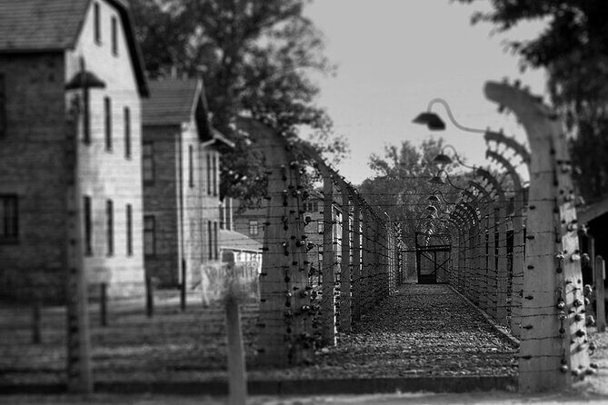 Auschwitz Birkenau Transfer and Guide with Salt Mine Combo Option - The lunch transition at Matejko Square: when your brain needs a reset