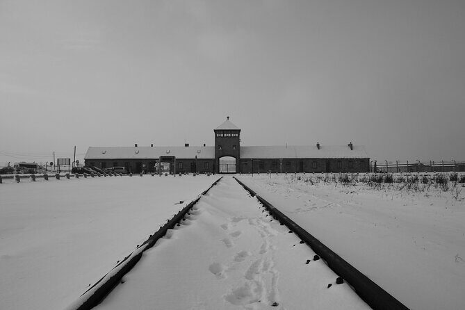 Auschwitz Birkenau Transfer and Guide with Salt Mine Combo Option - Comfort, pacing, and group size: managing a 8 to 12 hour day