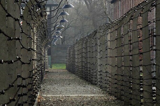 Auschwitz Birkenau Transfer and Guide with Salt Mine Combo Option - Auschwitz-Birkenau with a live guide: what the day actually looks like