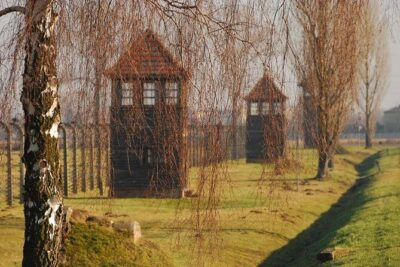 Auschwitz Guided Tour - Auschwitz I (about 2 hours): blocks, jail, and the gas chamber areas