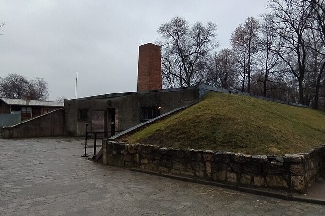 Auschwitz Museum and Salt Mine Tour with Private Transport - English guiding and how it helps you use the time