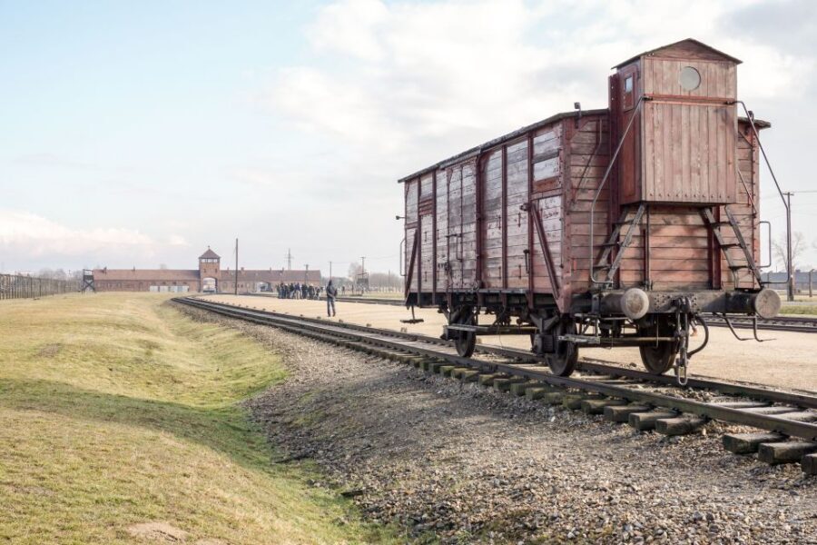 Auschwitz Ticket and Full-Day Tour from Krakow - Birkenau on foot: the extermination camp at work