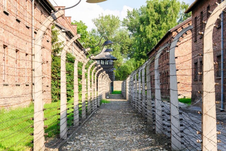 Auschwitz Ticket and Full-Day Tour from Krakow - Price and value: is $96 fair for both sites and a guide?