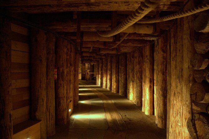 Combined: Auschwitz Birkenau and Salt Mine private chauffeur from Krakow - Pickup in Krakow and the Drive to Auschwitz: Comfort Matters