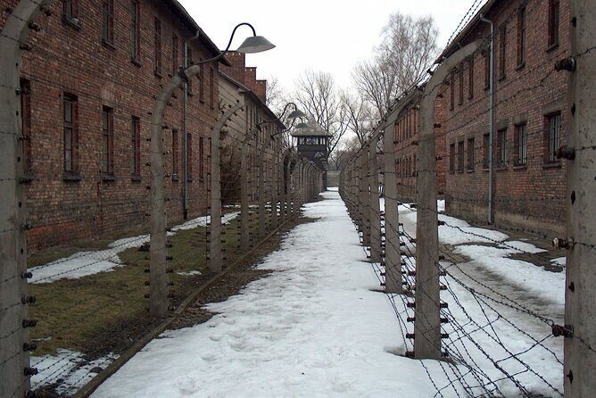 Exclusive Small Group Auschwitz-Birkenau Guided Tour from Krakow - The museum content: photos, documents, and personal items