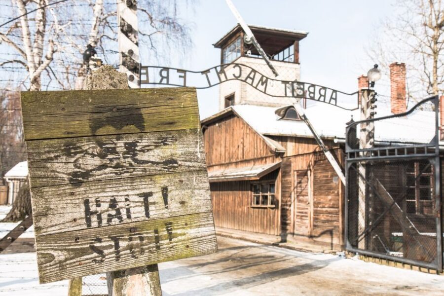 From Krakow: Auschwitz and Wieliczka Salt Mine Full-Day Trip - Key things that make this day trip work