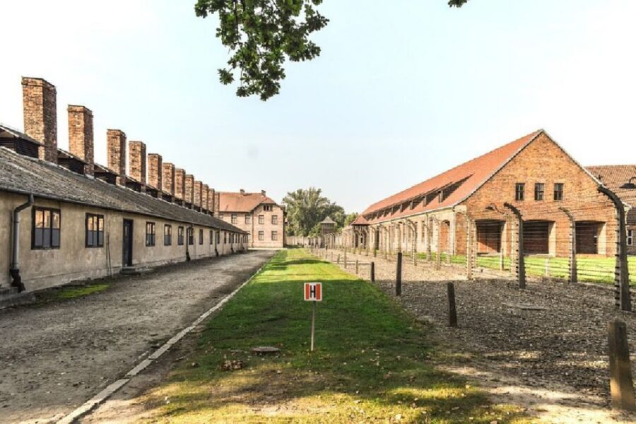 From Krakow: Auschwitz Birkenau and Salt Mine Guided Tour - Key Things to Know Before You Go