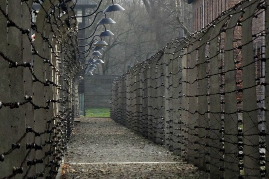 From Krakow: Auschwitz Birkenau and Salt Mine Guided Tour - Should You Book This Auschwitz and Salt Mine Tour?