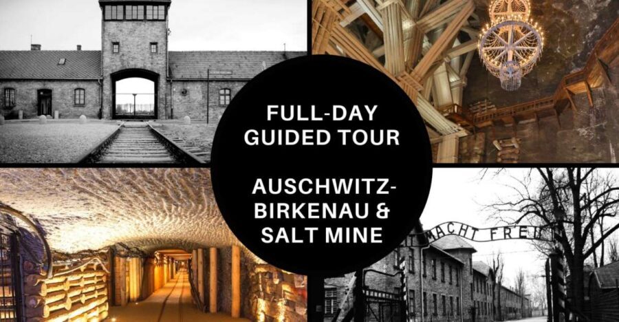 From Krakow: Auschwitz Birkenau and Salt Mine Guided Tour - Krakow Pickup, Meet Point, and the Ride Out