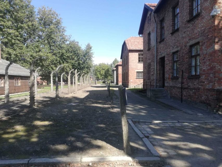 From Krakow: Auschwitz-Birkenau and Self-Guided Day Tour - Price and Value: Why About $21 Can Still Be Worth It
