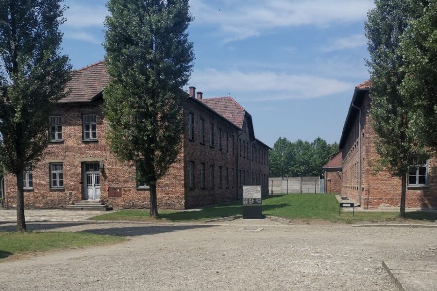 From Krakow: Auschwitz-Birkenau Camp Complex Guided Day Trip - Key highlights worth your attention