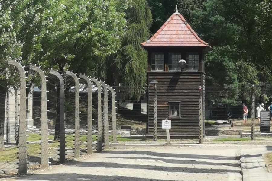 From Krakow: Auschwitz-Birkenau Camp Complex Guided Day Trip - Punctual Pickup and a Day That Stays on Rails