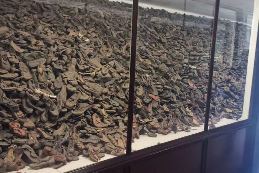 From Krakow: Auschwitz-Birkenau Camp Complex Guided Day Trip - Krakow Pickup to Auschwitz: Why the Ride Matters