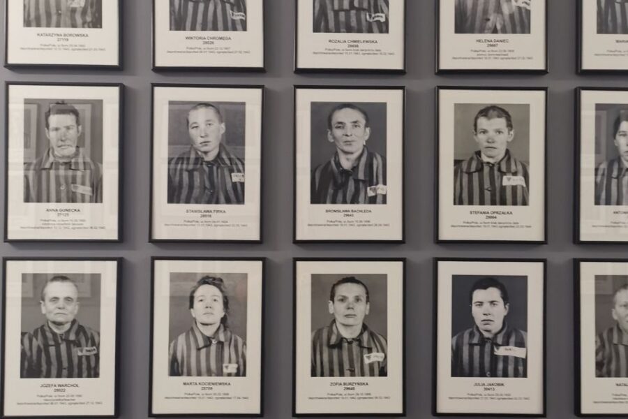 From Krakow: Auschwitz-Birkenau Camp Complex Guided Day Trip - Inside the Blocks: Everyday Items That Turn Numbers Into People