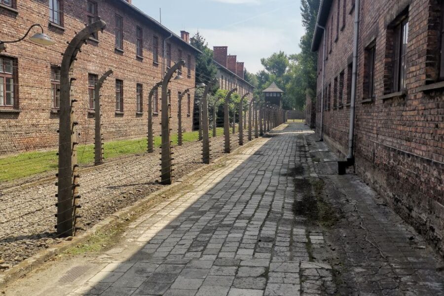 From Krakow: Auschwitz-Birkenau Camp Complex Guided Day Trip - Birkenau (Auschwitz II): Moving From Documentation to the Deadliest Machinery