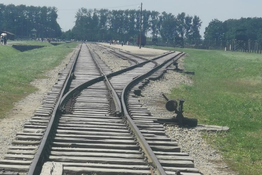 From Krakow: Auschwitz-Birkenau Camp Complex Guided Day Trip - Monowitz and the Daily Reality of Survival